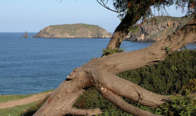 Appartamento In Casa Con Cortili Ad Arbus - Sardegna エクステリア 写真